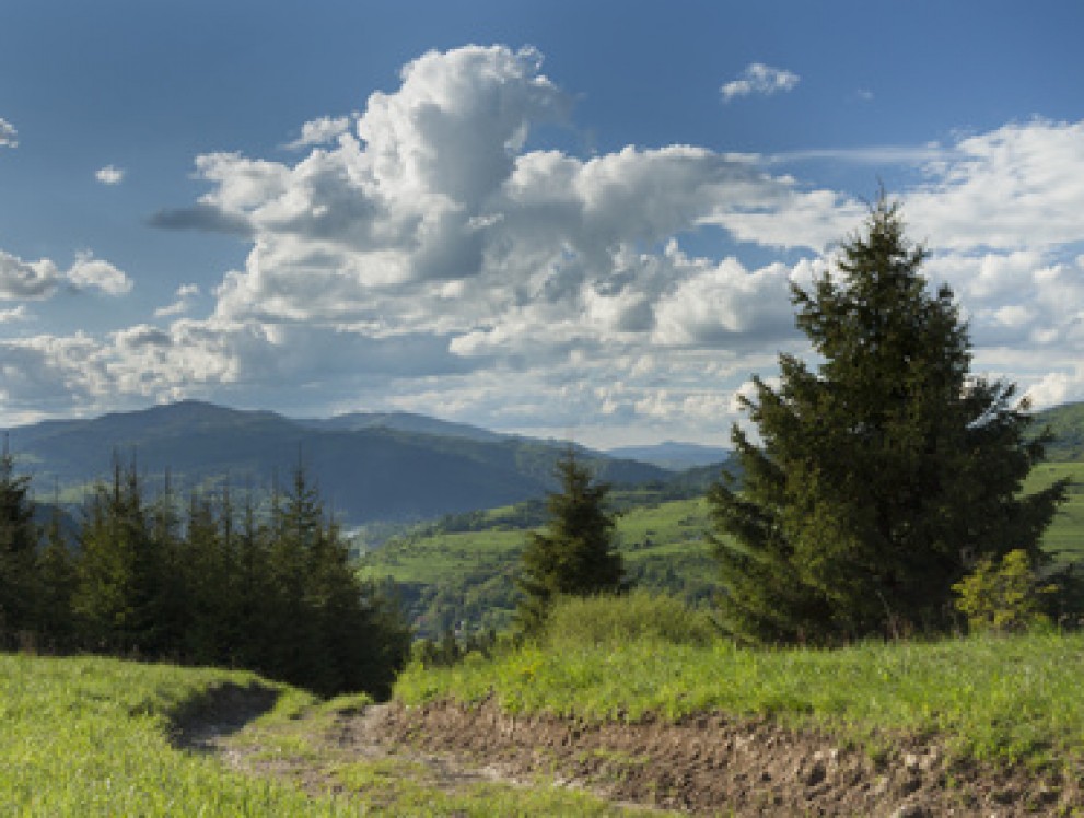 MOUNTAIN RUNNING